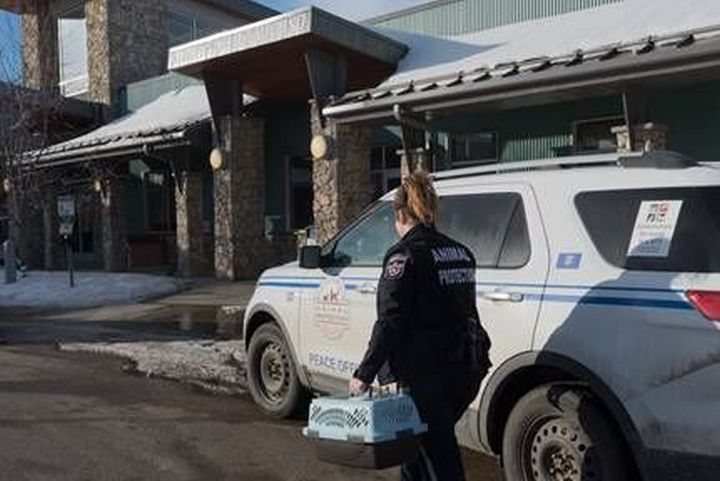 The Edmonton Humane Society seized a large number of animals from a pet store in West Edmonton Mall on Tuesday, Feb. 27, 2018.