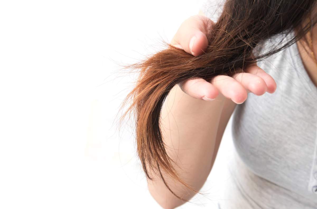 Do you suffer from dry, damaged hair in the winter? Here are some ways to fix it. 