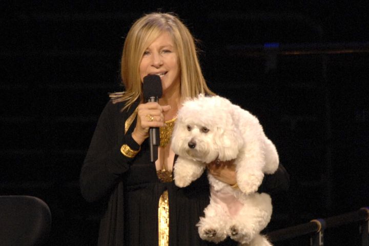 Barbra Streisand cloned her Coton du Tulear named Samantha.