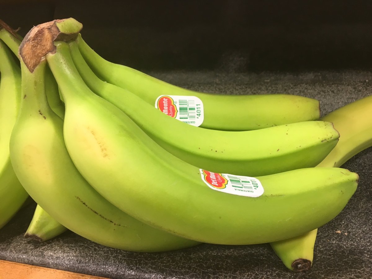 Bananas on store shelves appear to be greener than usual this February.