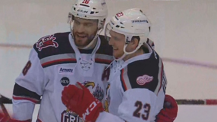 The Grand Rapids Griffins celebrate Dominic Turgeon's hat trick goal in their win over the Manitoba Moose on Saturday.