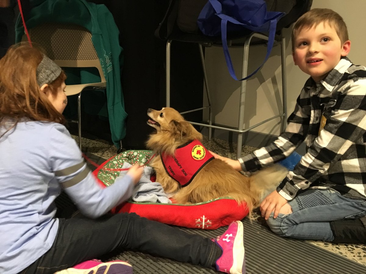 Young Discovery Centre attendees got to meet Terry, one of the visiting therapy dogs, on Saturday, Feb. 17, 2018.