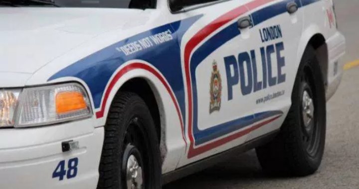 Полицейският наблюдател на Онтарио търси обществеността докато разследващите се опитват