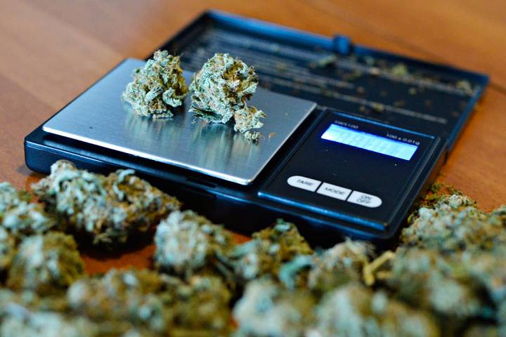 Members of the marijuana industry will be in Saint John beginning Sunday evening for the World Cannabis Congress.