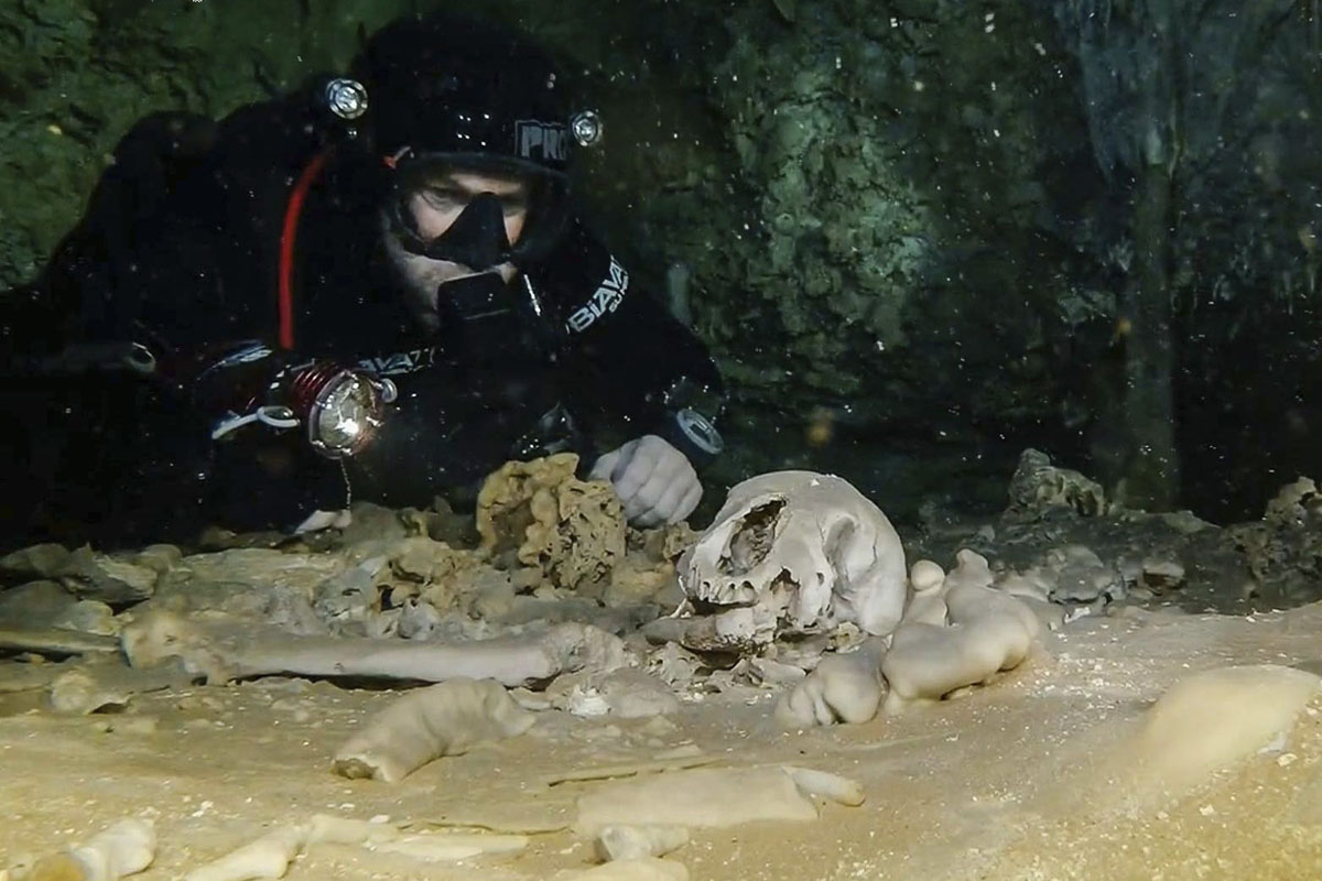 This undated photo released by Mexico's National Anthropology and History Institute (INAH) shows a diver from the Great Mayan Aquifer project looking at human remains believed to be from the Pleistocene era, in the Sac Actun underwater cave system, where Mayan and Pleistocene bones and cultural artifacts have been found submerged, near Tulum, Mexico.