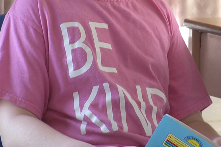 Napanee students take a stand against bullying with Pink Shirt Day - image