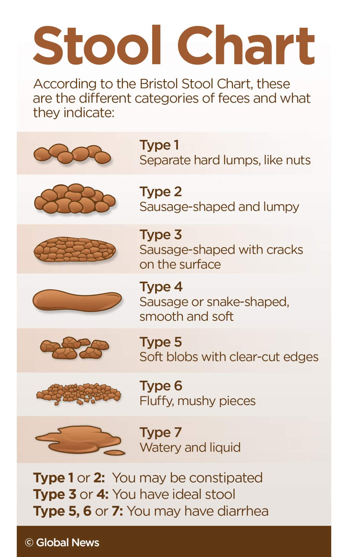 Poop scoop: Everything you need to know about healthy pooping - image