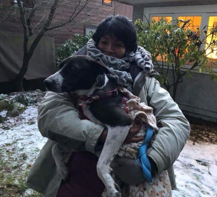 Queenie is safe. Photo submitted.