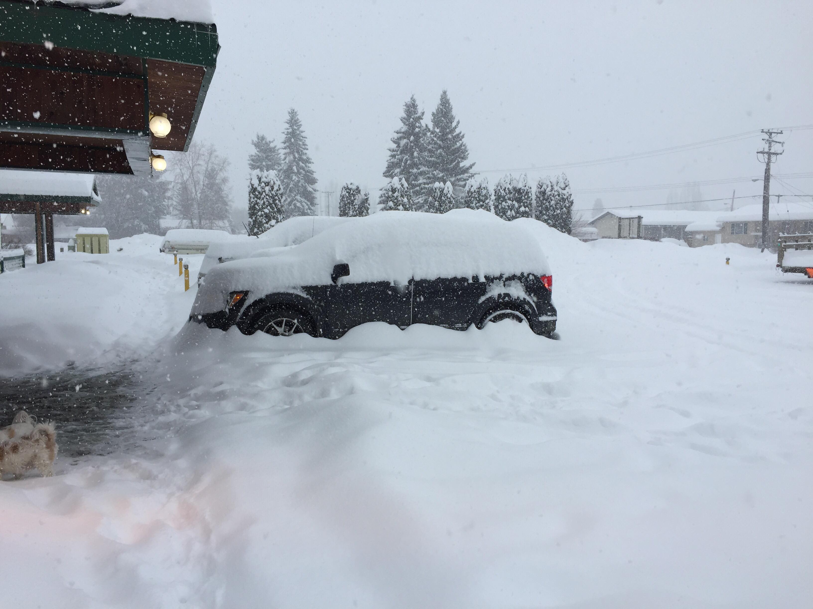 Massive Winter Storm Dumps More Than 30 Centimetres Of Snow On Parts Of ...