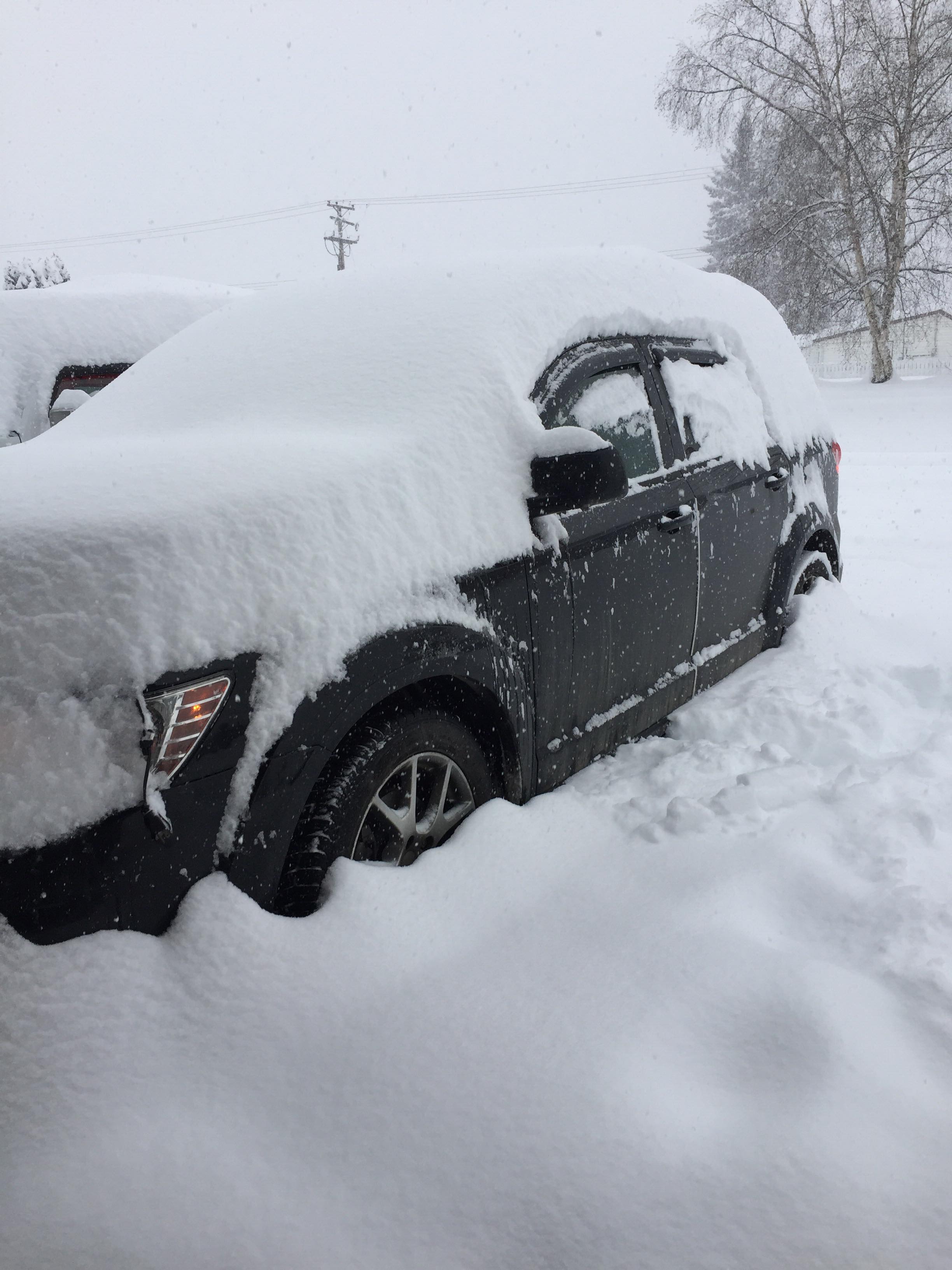 Massive Winter Storm Dumps More Than 30 Centimetres Of Snow On Parts Of ...