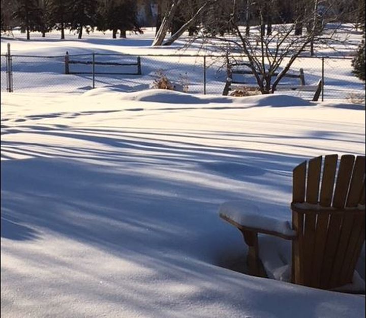 A cold and snowy Family Day in southwest Calgary.