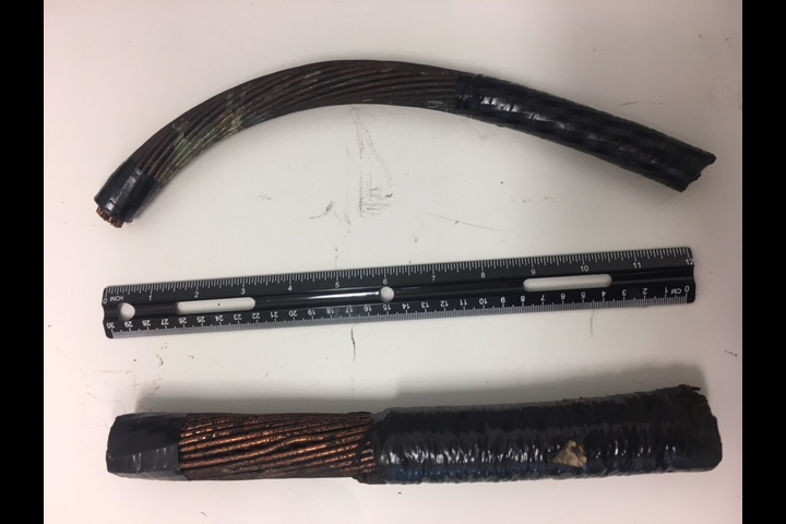 Metro Vancouver Transit Police are asking the public to speak out if they .