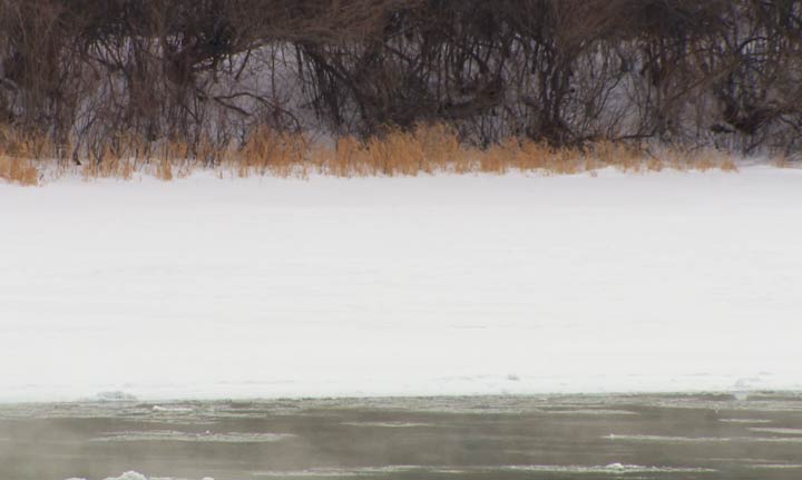 The body of a 35-year-old man was found on the river ice southwest of Saskatoon on Feb. 25, 2018.