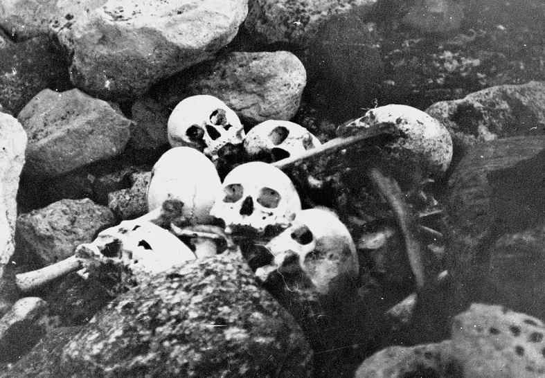 Skulls of members of the Franklin Expedition, discovered and buried by William Skinner and Paddy Gibson in 1945, at King William Island, N.W.T. (now Nunavut), are shown in this photo from the National Archives of Canada Collections.