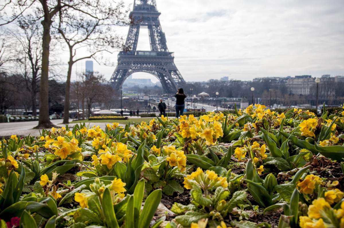 The Eiffel Tower was ranked as the fourth-most popular proposal spot in the world.