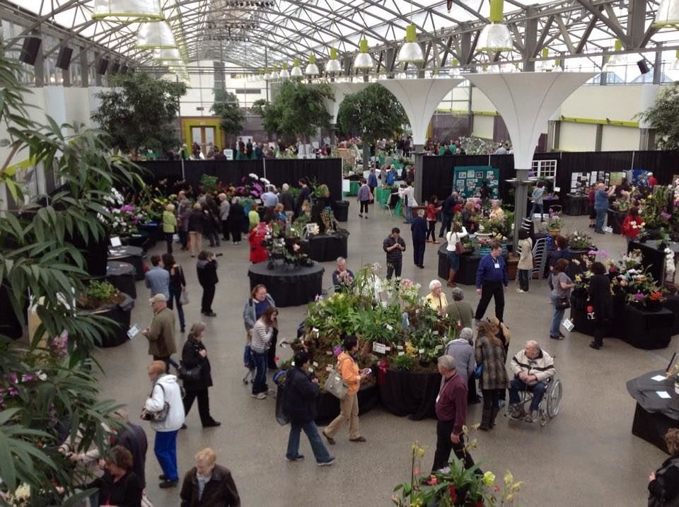 2018 Orchid Fair Edmonton Globalnews Ca