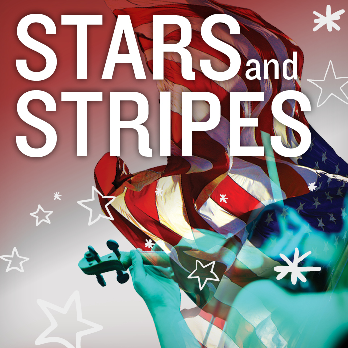 Stars and Stripes - image