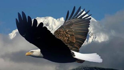 The Way of the Shaman: Basic Workshop – Shamanic Training - image