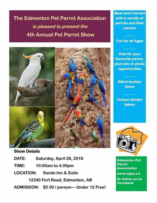 Edmonton Parrot Show 2018 - image