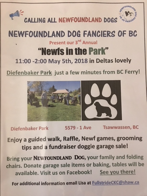 Newfs in the Park - image