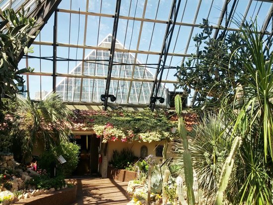 Inside Edmonton's Muttart Conservatory.