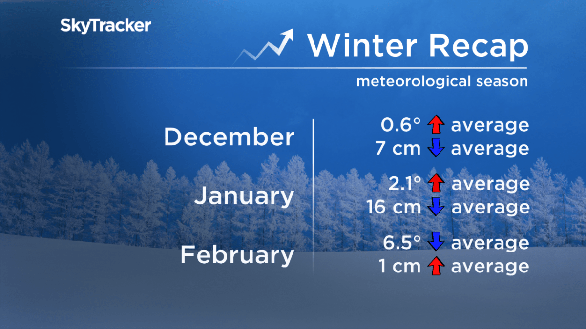 Regina has another dry winter, but more days below -30 C - image