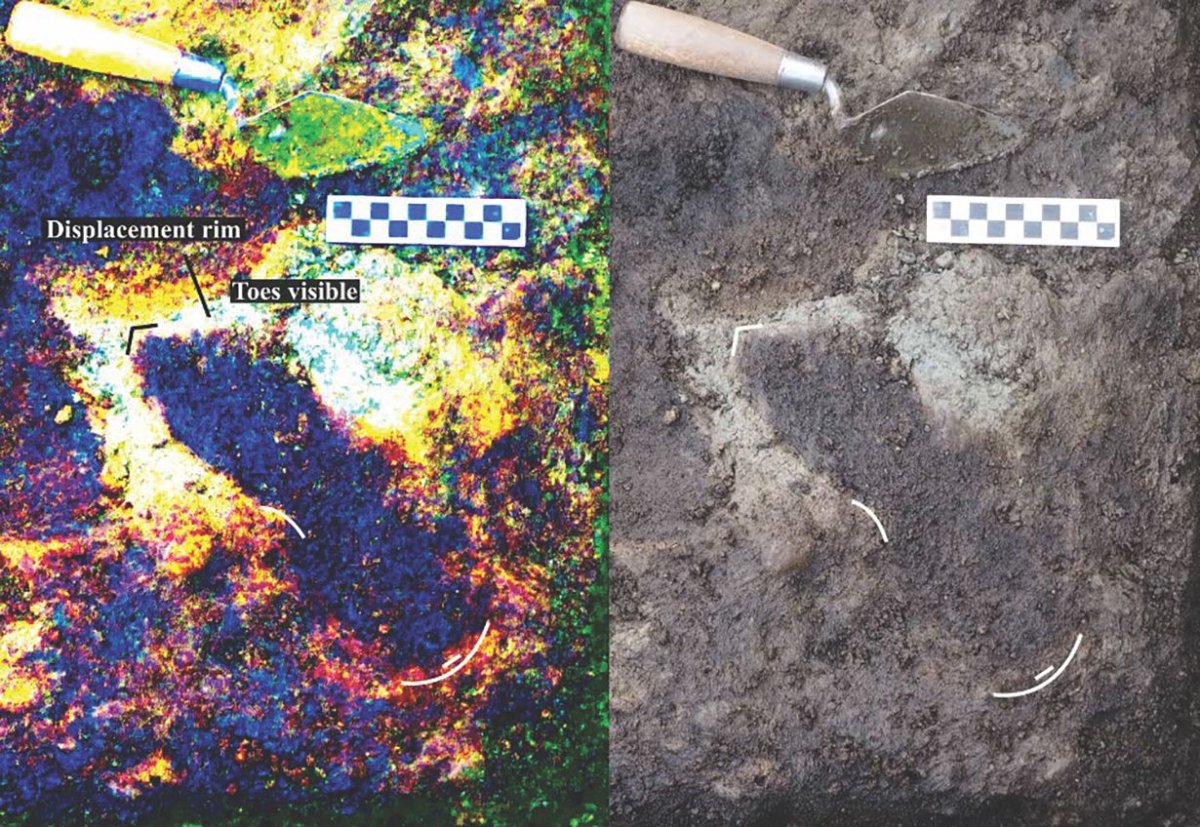 Ancient B.C. footprints confirmed as earliest known in North America - image