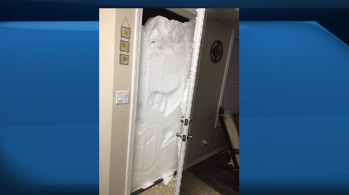 Guess these Fort St. John residents won't be going anywhere quickly.