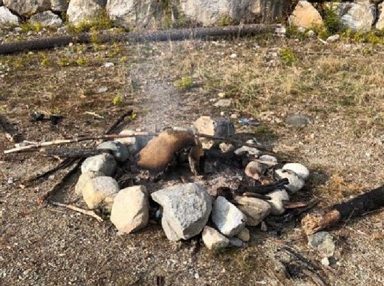 Crews received the call about the unattended campfire around 3:50 p.m. on Wednesday. 