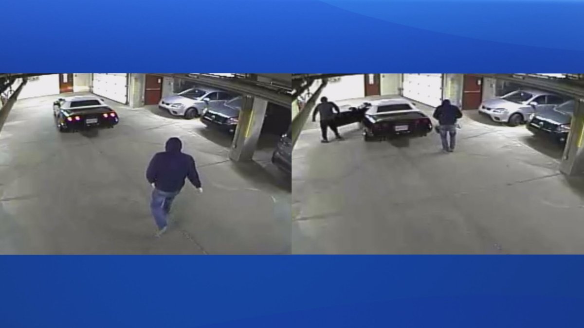 Halifax Regional police say these two men are suspected of stealing a 1989 Chevrolet Corvette .