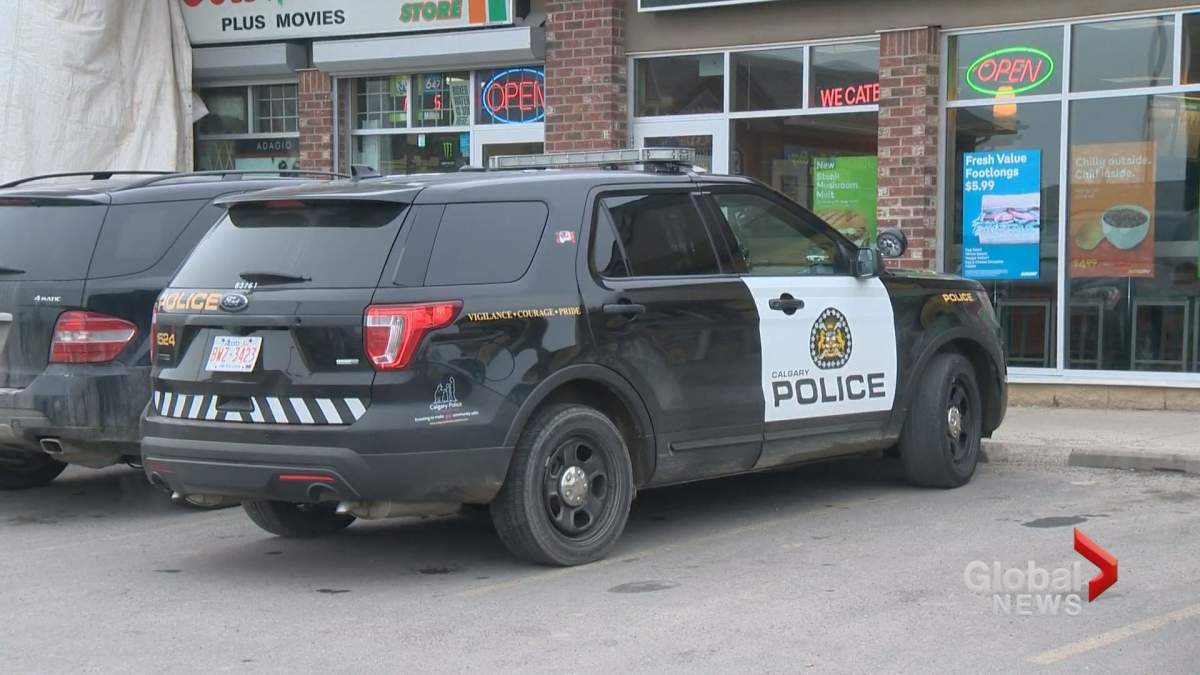 Calgary police responded to a carjacking where an elderly man's car was reportedly stolen on Thursday, March 29.