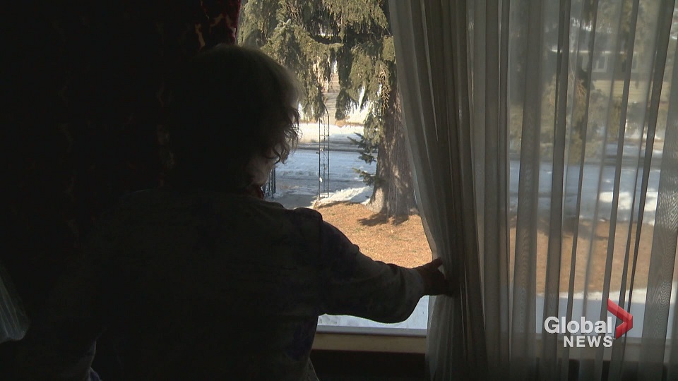 An elderly Calgary woman is calling on the city to cut down a towering tree in her front yard. 