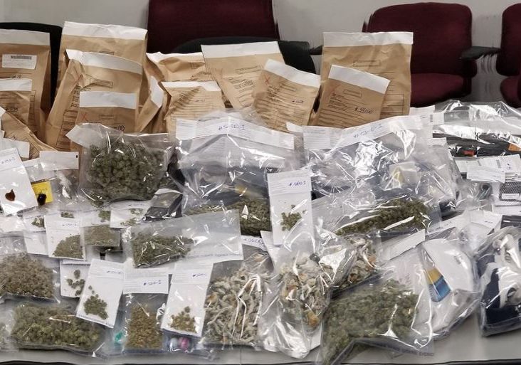 Several drugs and weapons were seized by police at a home in South Surrey.