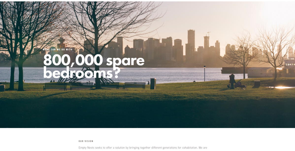 A screenshot from the Empty Nests website.