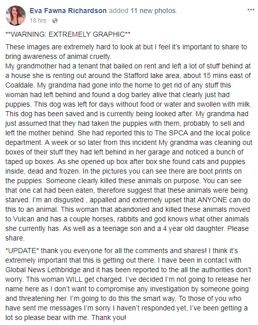 Dead dogs, cats discovered on southern Alberta property; SPCA investigating - image