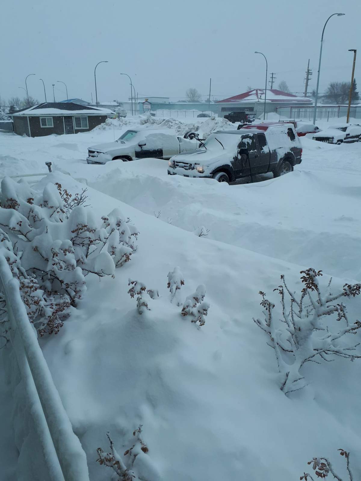 Fort St. John receives almost as much snow in 24 hours as the average for all of March - image