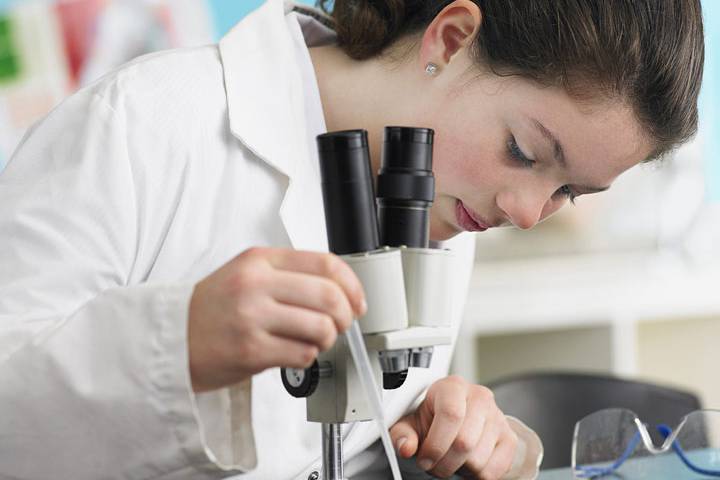 Halifax council votes to increase role of science advisors in city decision-making - image