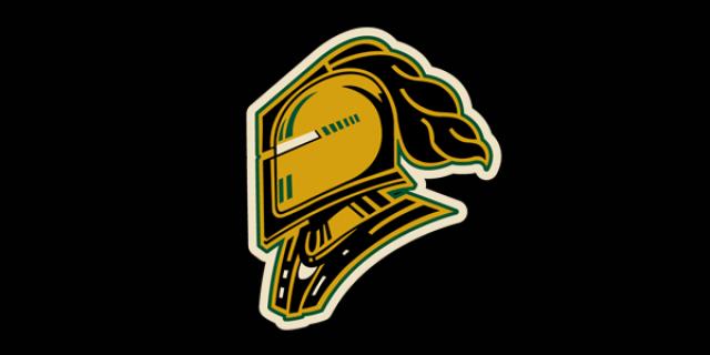 The London Knights have won their last 12 out of 15 games.