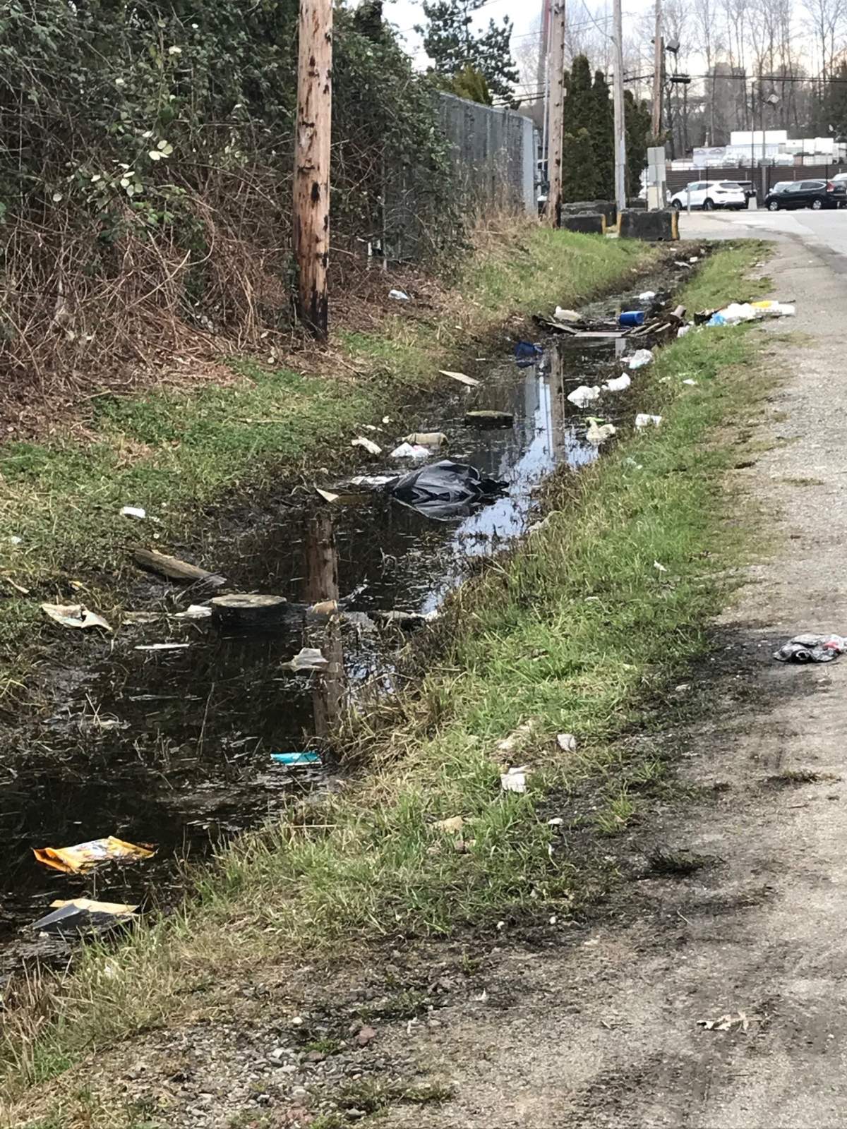 Surrey Bridgeview residents call for an end to the city’s ‘blind eye’ - image