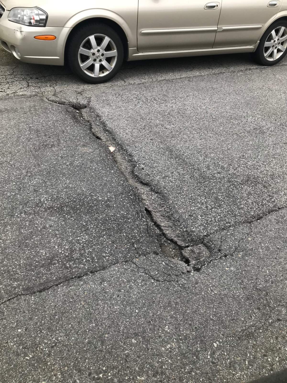 Surrey Bridgeview residents call for an end to the city’s ‘blind eye’ - image