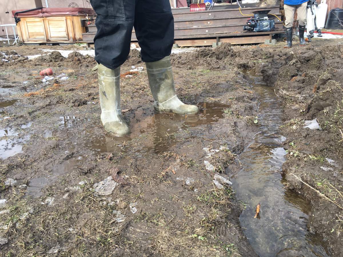 More Kelowna homes flooded, residents point blame at new construction above - image