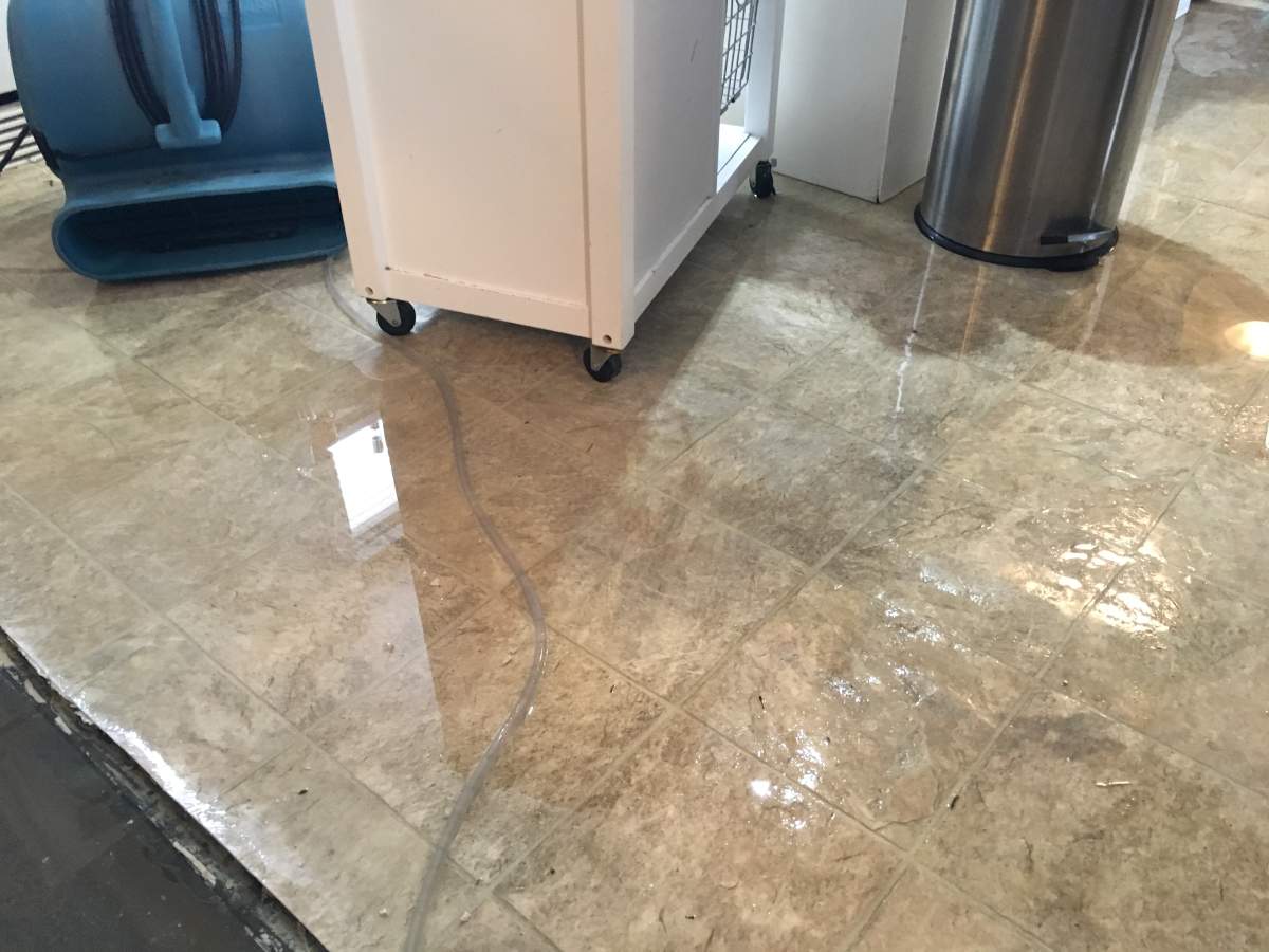 More Kelowna homes flooded, residents point blame at new construction above - image