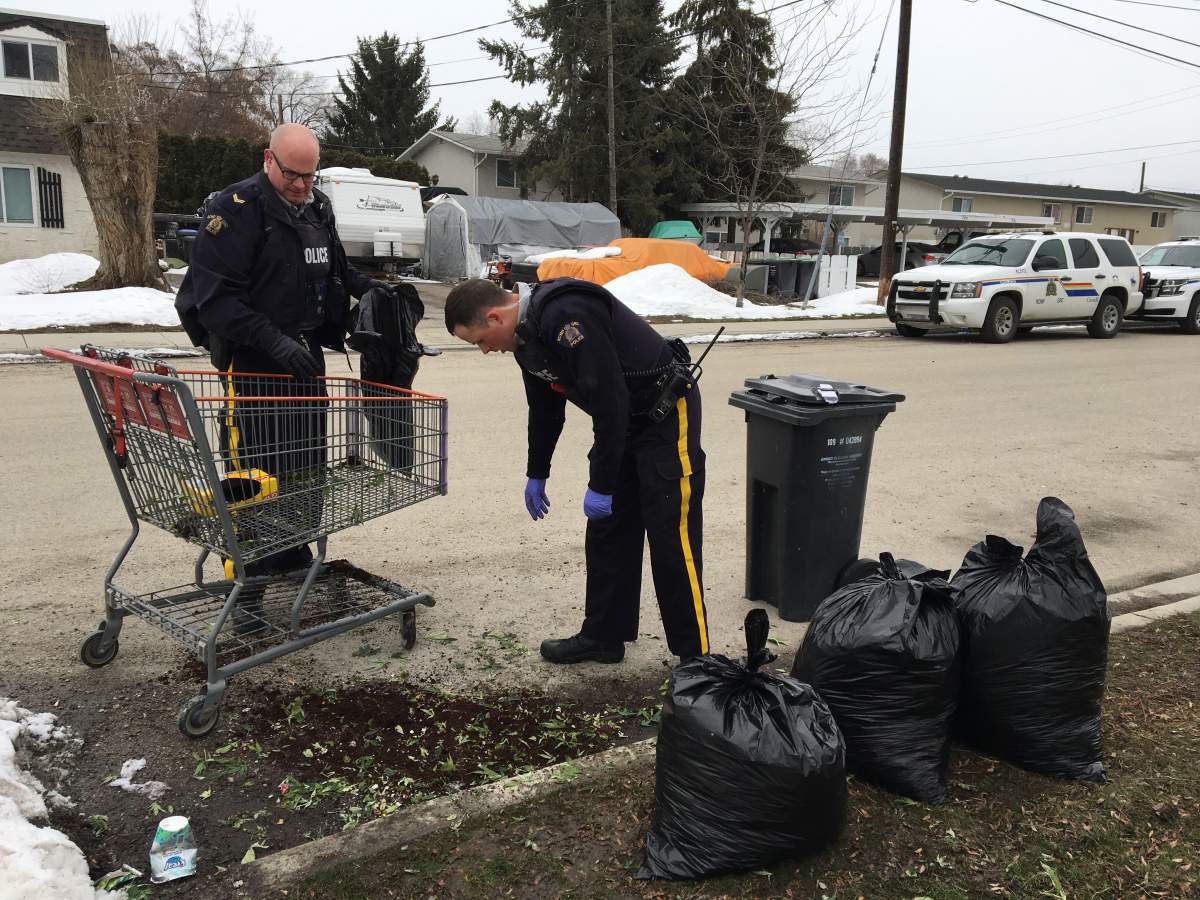 Police remove shopping cart full of marijuana plant trimmings - image