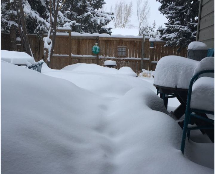 Picture of the snow in southwest Calgary March 3, 2018. 