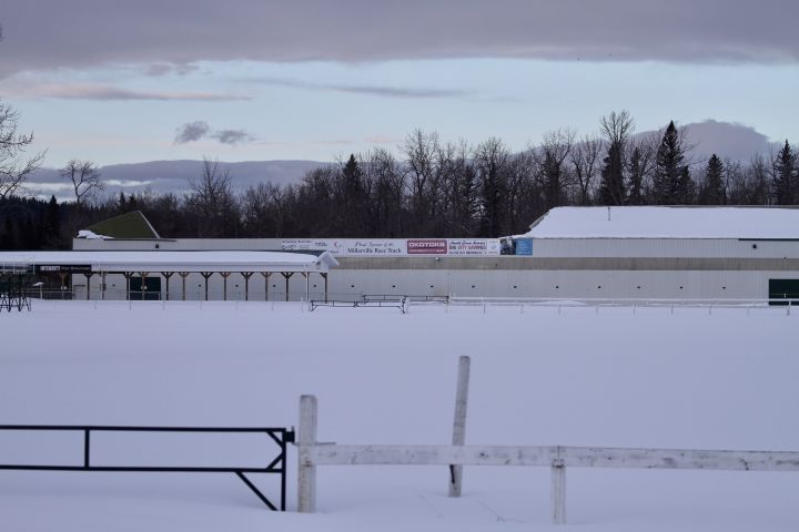 Millarville horse arena.