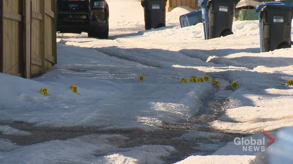 Calgary police are investigating a shooting in northeast Calgary on Saturday, March 24.