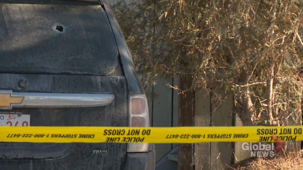 Calgary police are investigating a shooting in northeast Calgary on Saturday, March 24.