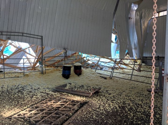 The roof of an Okotoks horse-boarding facility collapsed on Monday, March 19, 2018.