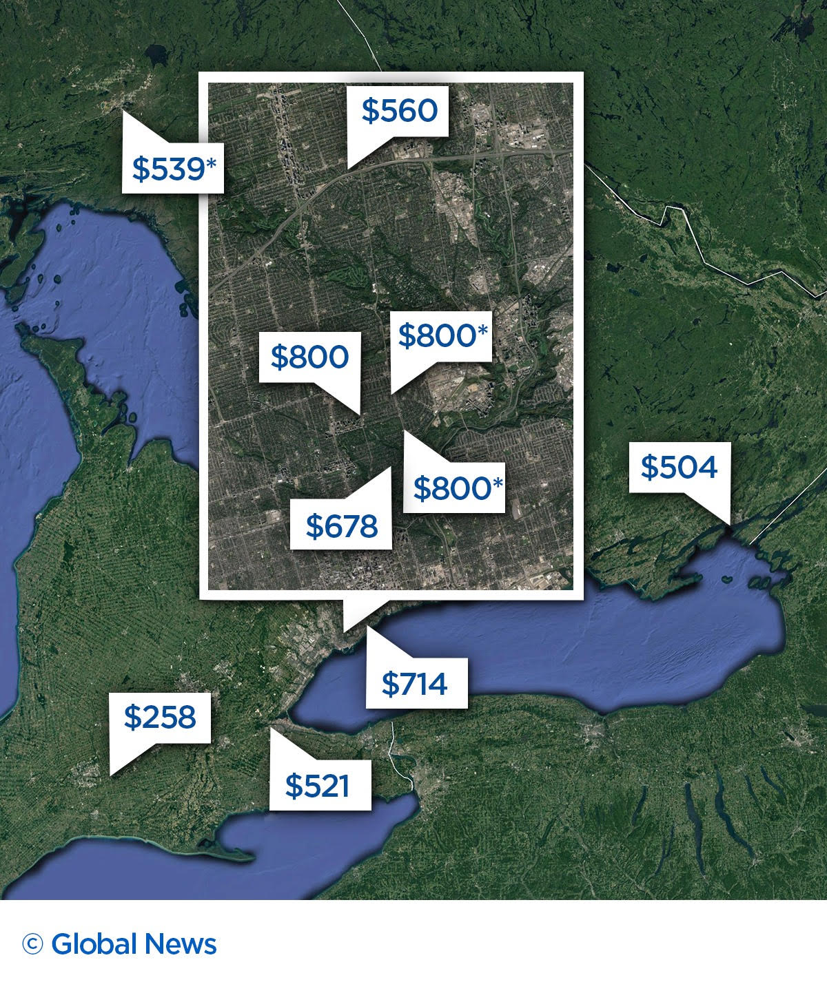 Veterinary pricing: Costs for services and procedures vary wildly, here’s why - image