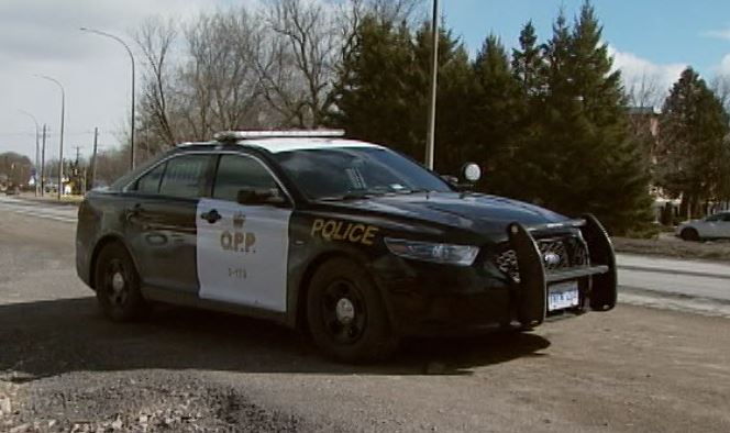 Central Hastings OPP says a 3-year-old girl was bit in the face by a dog in Stirling, ON.